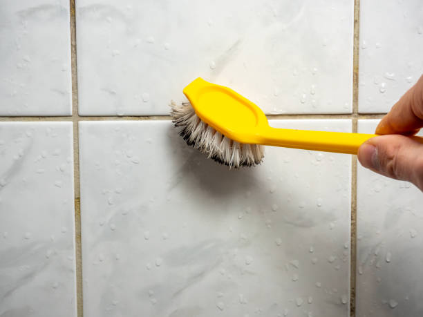 Best Mold Testing and Inspection Services in Lake Nacimiento, CA