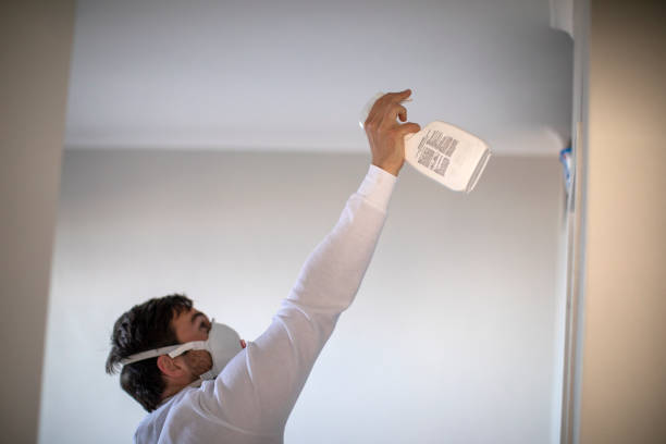 Best Mold Remediation for Specific Building Types in Lake Nacimiento, CA