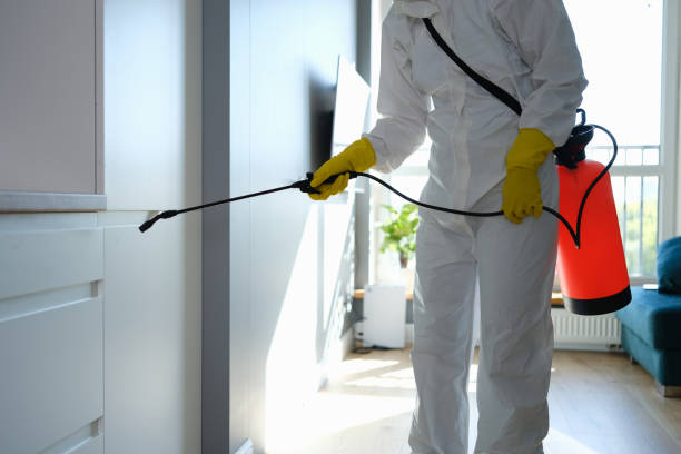 Best Mold Remediation for Schools in Lake Nacimiento, CA