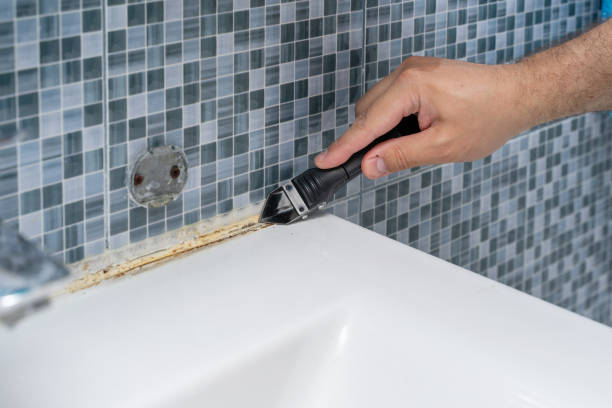 Best Localized Mold Remediation (e.g., coastal areas, humid climates) in Lake Nacimiento, CA